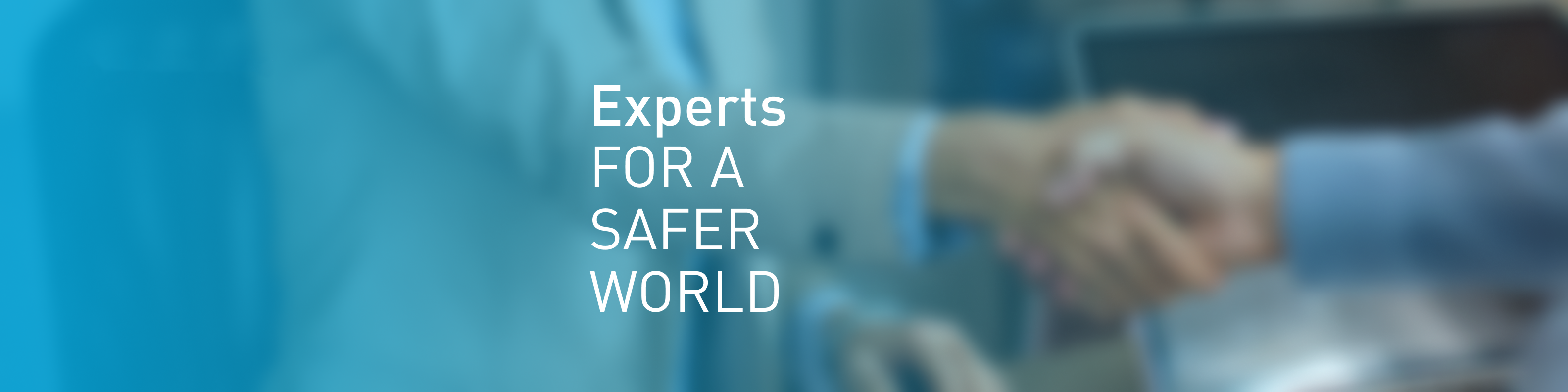 Experts for a safer world